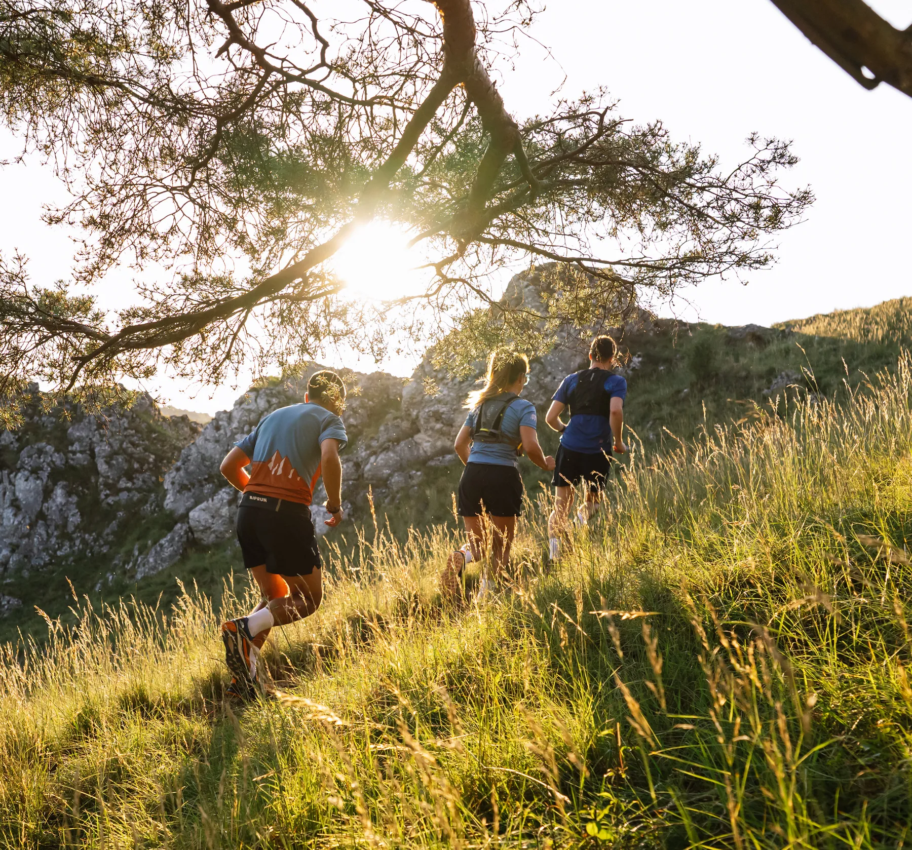 Three runners in athletic clothing jog along a wooded hill as the sun rises behind them.