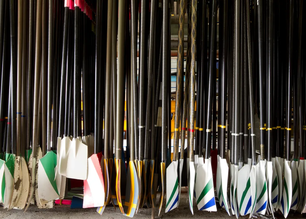 A variety of rowing blades in different colors and designs hanging on a rack.
